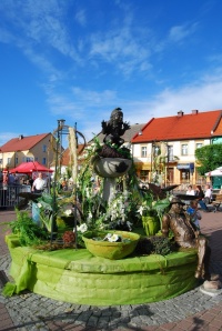 Zdjęcia konkursowe (10)