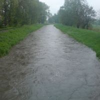 Zdjęcia konkursowe (7)