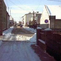 Zdjęcia konkursowe (5)
