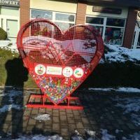 Przybywa sercowych koszy! (2)