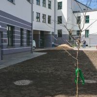 Święto Ziemi 2021  (3)