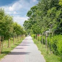 Budżet Obywatelski 2019-2020 (7)