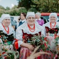 Dni Bierunia i Dożynki 2021 (8)