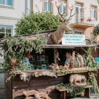 Dni Bierunia i Dożynki 2021 (19)