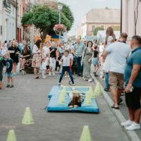 Dni Bierunia i Dożynki 2021 (5)