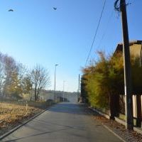 Rubinowa (1)