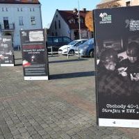 Wystawa na Rynku  (3)