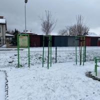 Nowe nasadzenia (1)