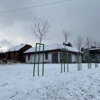 Nowe nasadzenia (2)