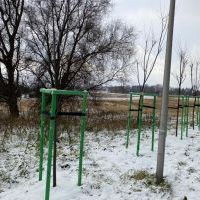 Nowe nasadzenia (3)