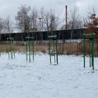 Nowe nasadzenia (10)