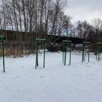 Nowe nasadzenia (11)
