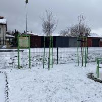 Nowe nasadzenia (12)