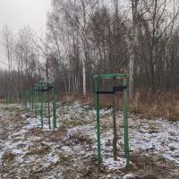 Nowe nasadzenia (13)