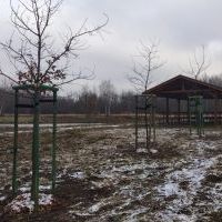 Nowe nasadzenia (15)