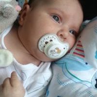 Nowonarodzeni (4)