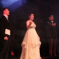 Operetka walentynkowa w Domu Kultury GAMA (3)
