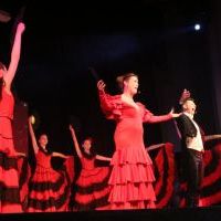 Operetka walentynkowa w Domu Kultury GAMA (10)
