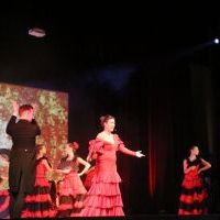 Operetka walentynkowa w Domu Kultury GAMA (3)