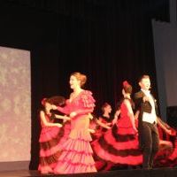 Operetka walentynkowa w Domu Kultury GAMA (7)