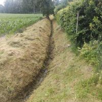 Działalność Bieruńskiej Spółki Wodnej - rok 2021 (4)