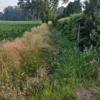 Działalność Bieruńskiej Spółki Wodnej - rok 2021 (5)