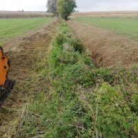 Działalność Bieruńskiej Spółki Wodnej - rok 2021 (6)