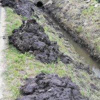 Działalność Bieruńskiej Spółki Wodnej - rok 2021 (2)
