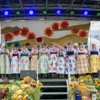Dożynki Miejskie 2022 w Bieruniu (8)
