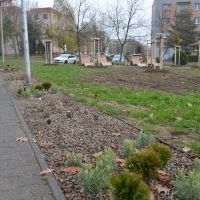 Mini Park na Węglowej (2)