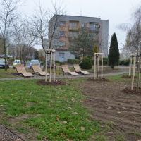 Mini Park na Węglowej (2)