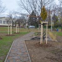 Mini Park na Węglowej (1)