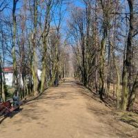 Wokół bieruńskiej Grobli (3)