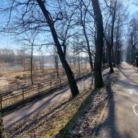 Wokół bieruńskiej Grobli (5)