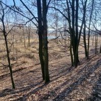 Wokół bieruńskiej Grobli (6)