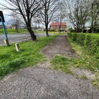 Teren na którym powstanie miasteczko rowerowe (7)