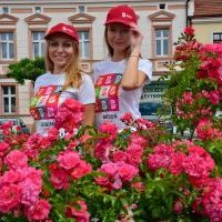 Wakacyjne gadżety miejskie (3)
