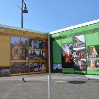 Wystawy na bieruńskim rynku - 2023 (2)