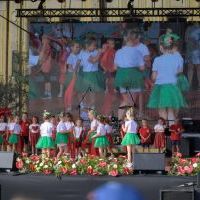 Dni Bierunia 2023 (4)