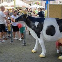 Dni Bierunia 2023 (6)