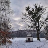 Bieruń zimą na zdjęciach Sławomira Bielaka (4)