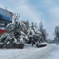 Bieruń zimą na zdjęciach Sławomira Bielaka (6)