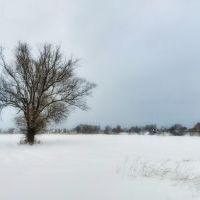 Bieruń zimą na zdjęciach Sławomira Bielaka (1)