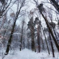 Bieruń zimą na zdjęciach Sławomira Bielaka (4)