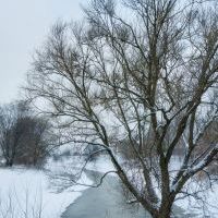 Bieruń zimą na zdjęciach Sławomira Bielaka (7)