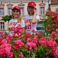 Gadżety miejskie - kolekcja wiosna/lato 2024 (1)
