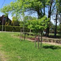 Skwer Miast Partnerskich po rewitalizacji - Maj 2024 (1)