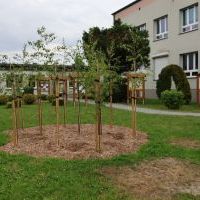 Eko pracownia 