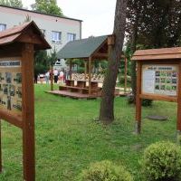 Eko pracownia 