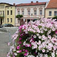 Bieruński Szlak Historyczny etap III (1)